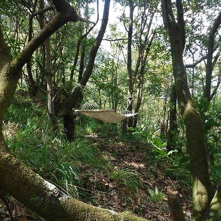 Nature Inn Madeira - Glamping Порто Мониз Екстериор снимка