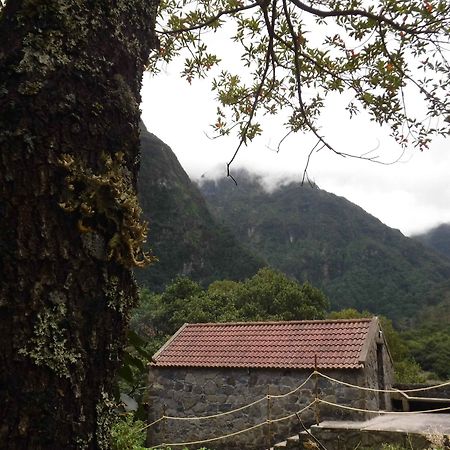 Nature Inn Madeira - Glamping Порто Мониз Екстериор снимка