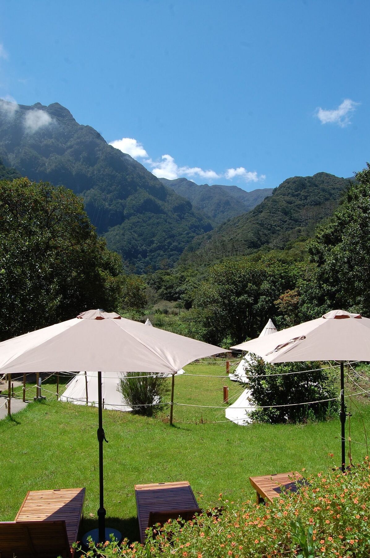 Nature Inn Madeira - Glamping Порто Мониз Екстериор снимка