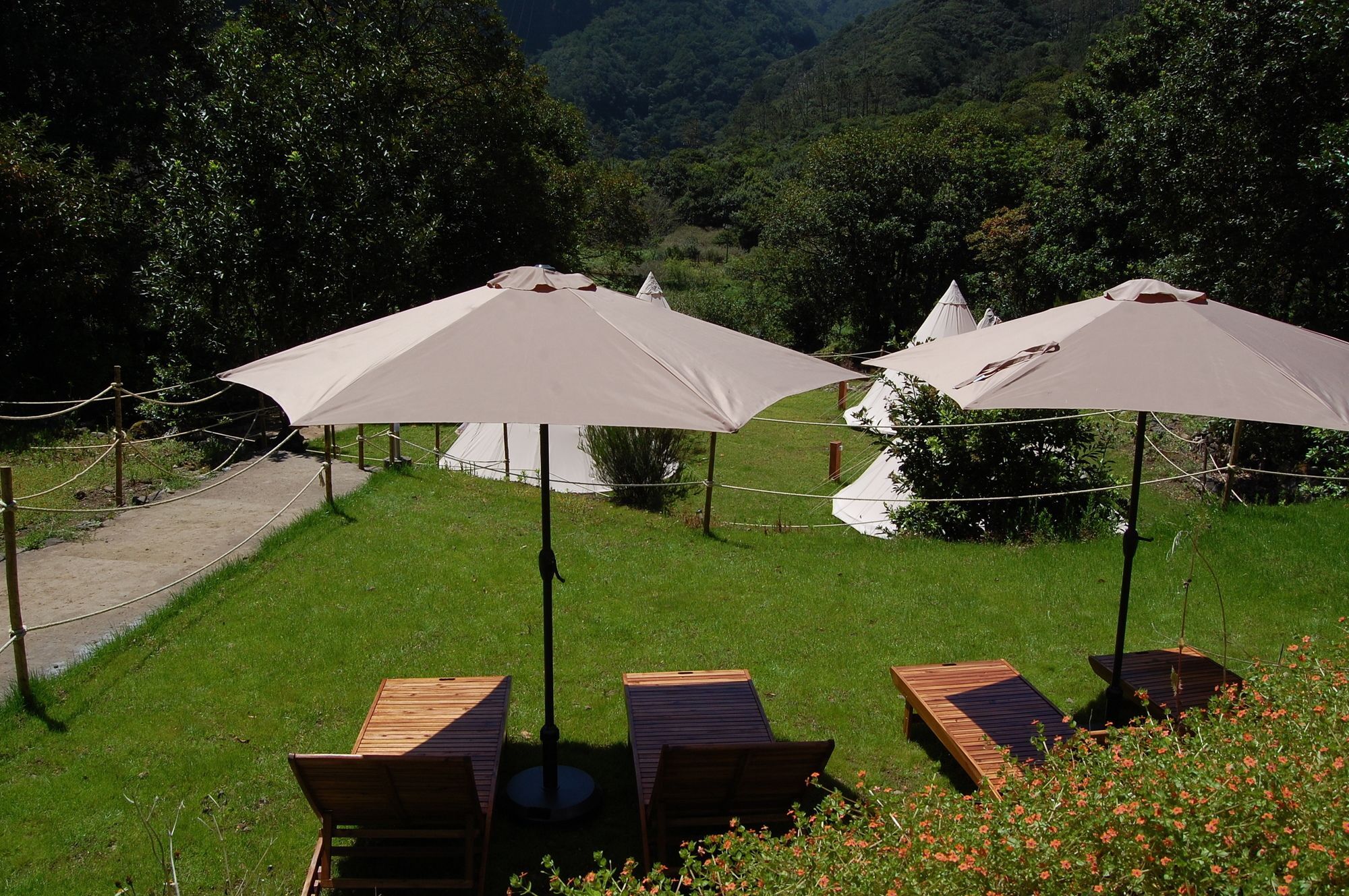 Nature Inn Madeira - Glamping Порто Мониз Екстериор снимка