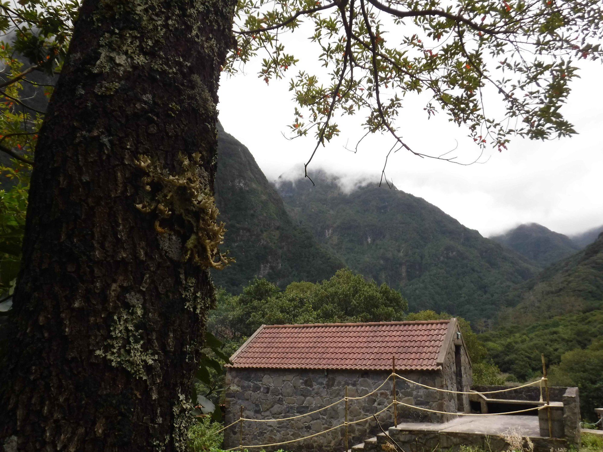 Nature Inn Madeira - Glamping Порто Мониз Екстериор снимка